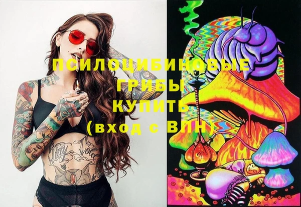 первитин Абинск
