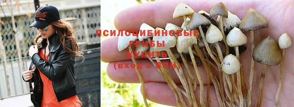 хмурый Алексин